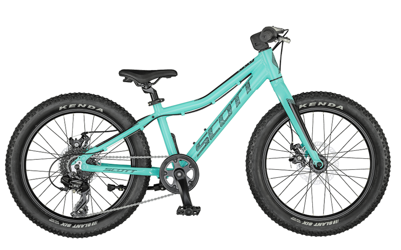 scott roxter 20