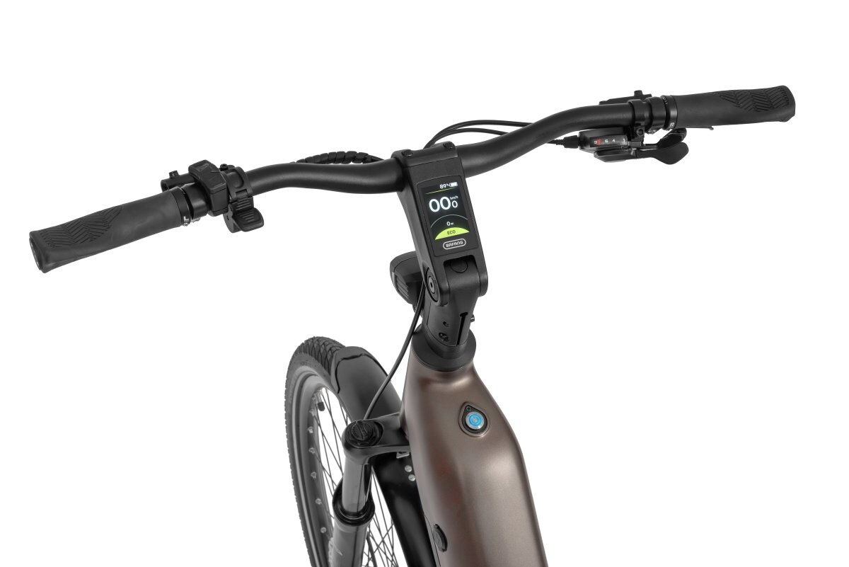 Ecobike LX 300 Onyx